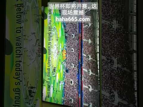 世界杯,资讯,足球赛事,世界杯,足球赛事,国际足联,世界杯2023,足球比赛,世界足球,体育盛事,足球狂欢,世界杯赛程,足球明星