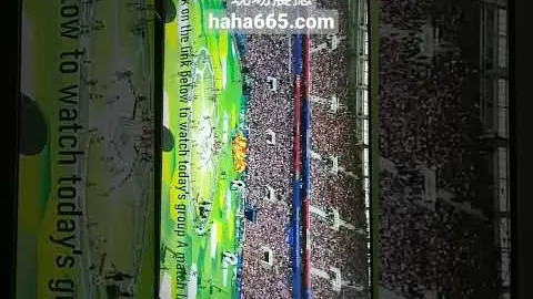 世界杯